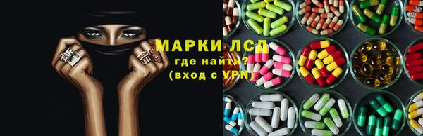 PSILOCYBIN Верхний Тагил